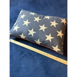 Pottery Barn USA Flag Canvas Pillow Case and Feather Down Insert 14x20 Lumbar